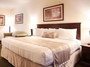 Best Western Jacksonville Inn Oda fotoğraf